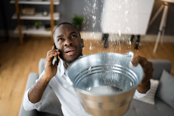 Best Water damage contractors near me  in Continental, OH