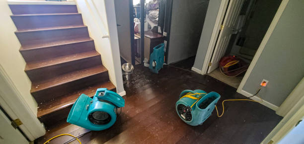 Best Flooded house restoration  in Continental, OH