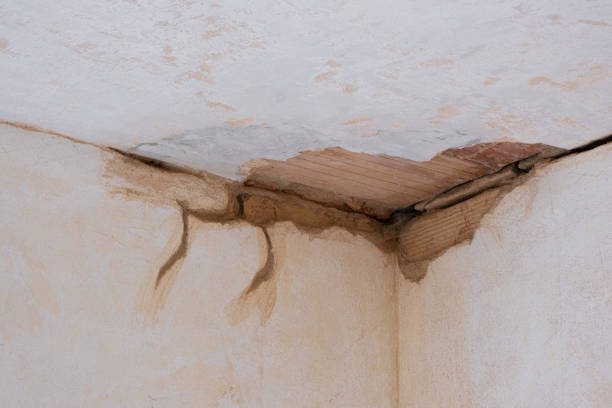 Best Water damage cleanup near me  in Continental, OH