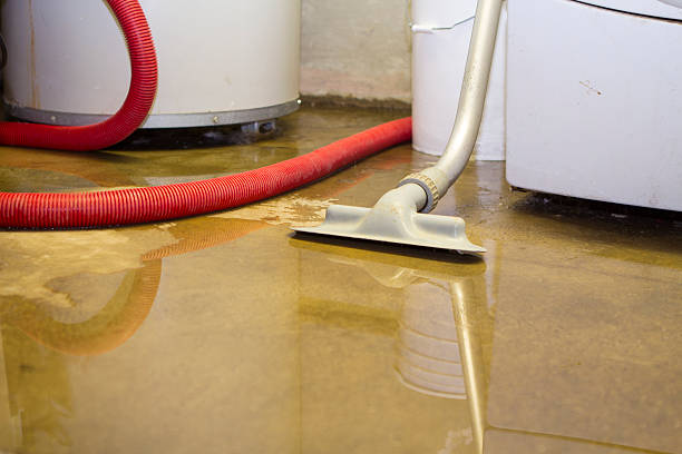 Best Residential water damage restoration  in Continental, OH