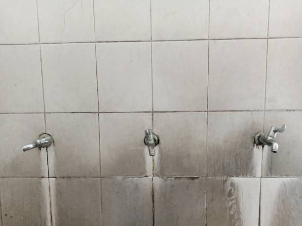 Best Fire Damage Restoration  in Continental, OH