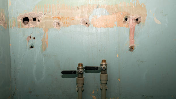 Best Basement water damage restoration  in Continental, OH